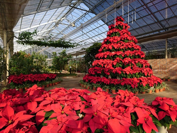 【松戸・青戸発】甲州満喫♪ほうとう&みそ作りW体験!<コースNo.25-1079-D>(京成トラベル)3